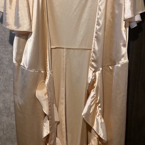 Francesca’s Collections worn once. Size L-XL. Light Gold. Retro inspired dress. - Picture 8 of 10